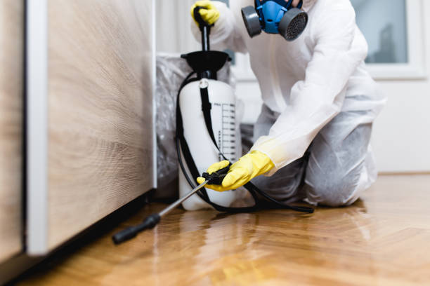 Best Commercial Pest Control Services  in Henderson, TX