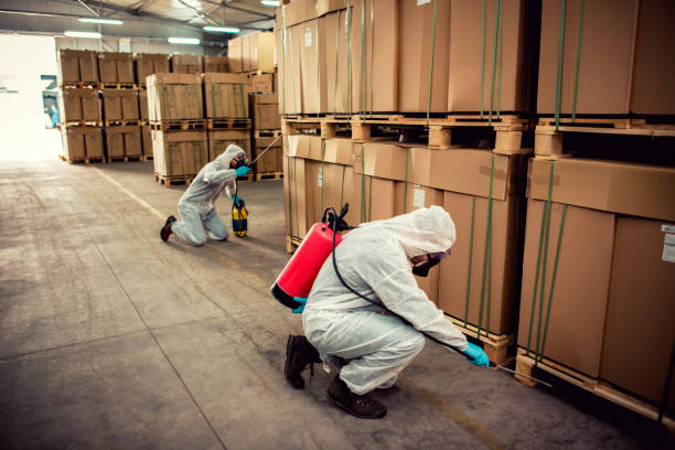 Best Affordable Pest Control Services  in Henderson, TX