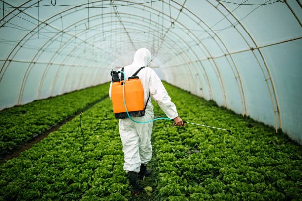Best Affordable Pest Control Services  in Henderson, TX