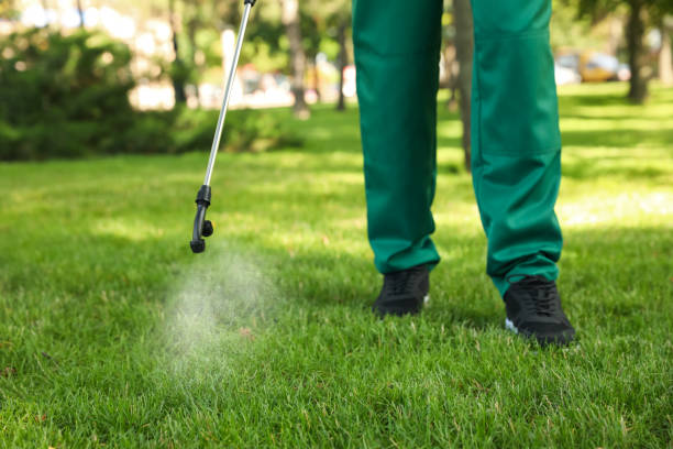Best Termite Control Services  in Henderson, TX