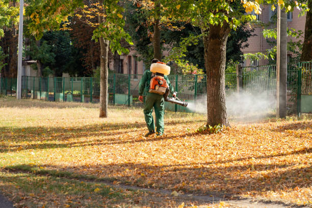 Best Pest Control Treatment  in Henderson, TX