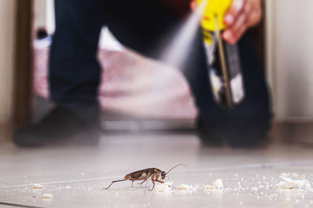  Henderson, TX Pest Control Pros